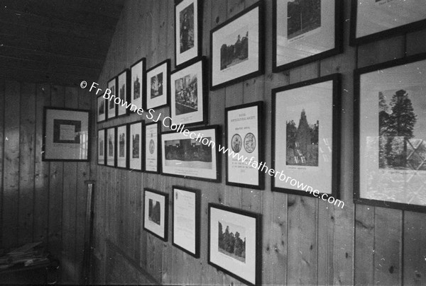 HEADFORD HOUSE  PHOTOGRAPHS OF TREES AND LATE MARQUIS MEDALS IN GARDEN OFFICE